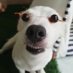 Meet your Posher, Bryan